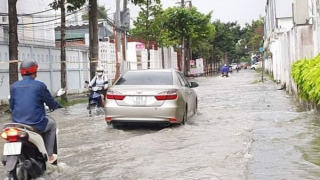 Cần Thơ chủ động ứng phó với triều cường dâng