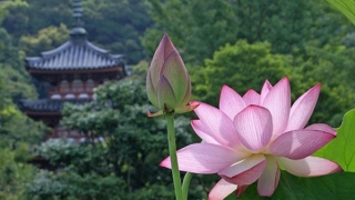 Tản mạn về tín ngưỡng và tam giáo trong văn hóa Đại Việt