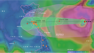 Bão số 8 gây mưa lớn ở Bắc Bộ và Quảng Trị