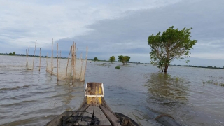 Vui buồn mùa nước nổi miền Tây