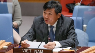 Việt Nam chung tay cùng quốc tế xóa bỏ vũ khí hạt nhân