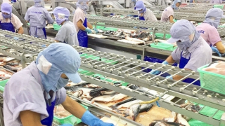 Đồng Tháp hỗ trợ người dân hồi hương ổn định cuộc sống