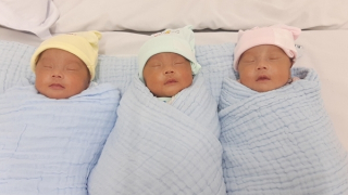 Chuyện về ba "chồi non" 64 ngày ở phòng NICU