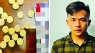 Chuốc thuốc mê nhiều người đồng tính cướp tài sản