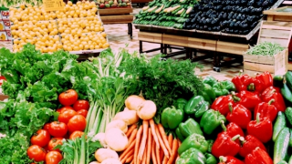 Những lưu ý khi đẩy mạnh xuất khẩu nông sản sang châu Âu