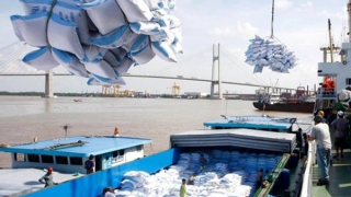 Kiến nghị cấp nhãn hiệu chứng nhận Gạo Việt Nam/Vietnam Rice cho doanh nghiệp xuất khẩu gạo