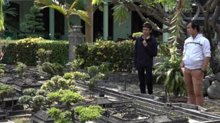 Cố đô Huế thu nhỏ giữa lòng phương Nam