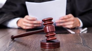 Ngôn ngữ văn bản