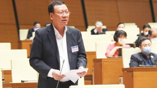 Chuyển vụ việc tham nhũng sang Cơ quan điều tra không đợi kết luận Thanh tra