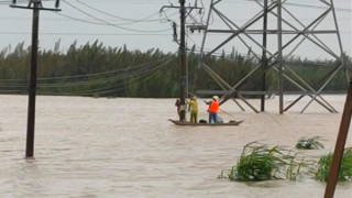 Quảng Ngãi: Hơn 1.750 hộ, doanh nghiệp ở Bình Sơn mất điện do ngập lụt