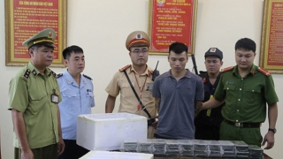 Con cá to dưới tầng nước sâu