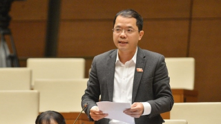 Đại biểu Quốc hội khuyên không nên nhận bảo hiểm "một cục"