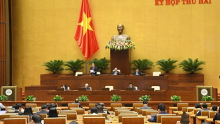 Trao "thượng phương bảo kiếm", chính sách phát triển rừng liệu có đạt?