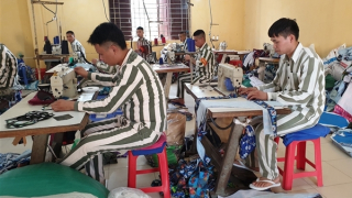 Gặp những người ngồi đếm cuộc đời