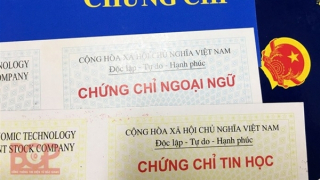 Bộ Nội vụ đề nghị các bộ tự quy định tiêu chuẩn năng lực ngoại ngữ, tin học
