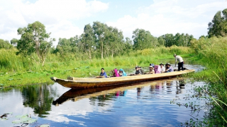 Tác nghiệp 3 ngày liền với món đặc sản chuột kho muối hột