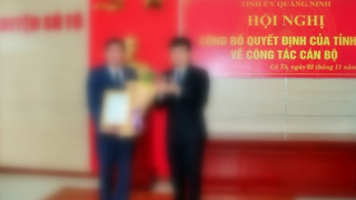 Đình chỉ công tác Bí thư, Chủ tịch huyện Cô Tô