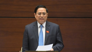 Tập trung đào tạo nguồn nhân lực y tế dự phòng, tại cơ sở