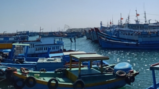 COVID-19 lần đầu xuất hiện tại đảo Phú Quý