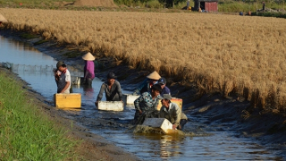 Nhân rộng các mô hình sinh kế tại đồng bằng sông Cửu Long