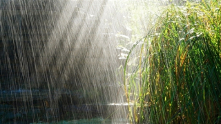 Miền Trung mưa giông kéo dài