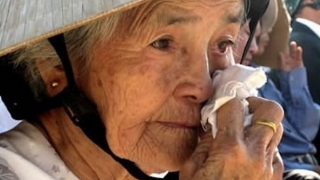 "Vườn mẹ" giữa rừng dương