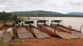 Lập chốt ngăn sông,  người dân phải đi vòng 100km gặt lúa!