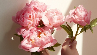 Mẹ và bến sông quê