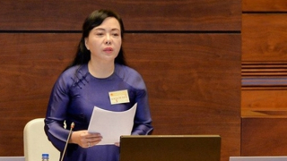 Bộ Chính trị cảnh cáo, miễn nhiệm bà Nguyễn Thị Kim Tiến