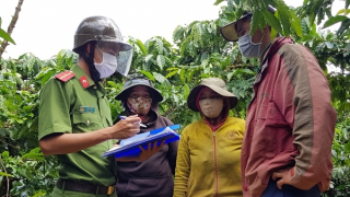 Giữ bình yên cho mùa thu hoạch cà phê ở Tây Nguyên