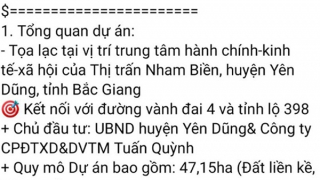 Đăng tin sai sự thật, hai "cò đất" bị xử phạt