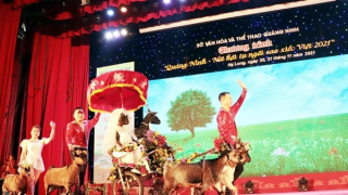 Dừng chương trình hội tụ ngôi sao xiếc Việt sau khi phát hiện diễn viên nghi nhiễm COVID-19