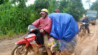 Kiểm tra, làm rõ phản ánh đường bêtông 70 tỷ đồng vừa làm đã hư hỏng