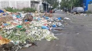 Rác chợ ngập ngụa, ruồi bọ tràn vào nhà dân