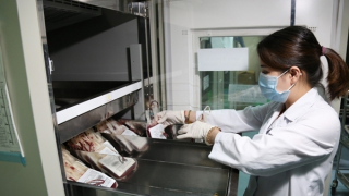 Tình trạng thiếu máu điều trị lại gia tăng