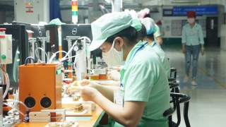 13,3 nghìn doanh nghiệp thành lập mới và quay trở lại hoạt động mỗi tháng