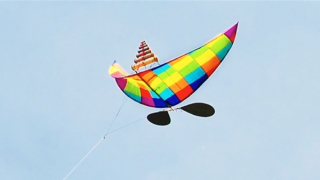 Nghĩ về câu: Trong thơ có họa