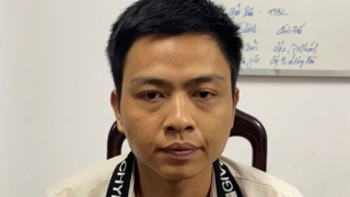 Mua sữa cửa hàng này bán cho cửa hàng khác, chiếm đoạt hàng trăm triệu đồng