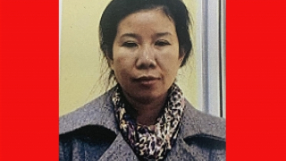 Làm giả giấy chứng nhận chuyên gia để  tổ chức cho người nước ngoài nhập cảnh trái phép