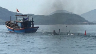 Tàu cá bị tàu hàng đâm chìm giữa biển, 12 ngư dân được cứu sống