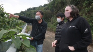 Chung tay bảo tồn loài gấu trước nguy cơ tuyệt chủng