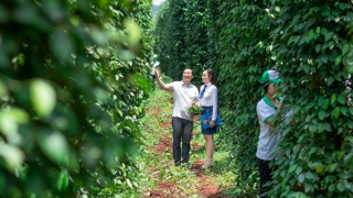 LienVietPostBank: Cho vay nông nghiệp là ưu tiên hàng đầu