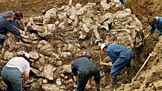 Cuộc săn lùng Karadzic, đồ tể Bosnia