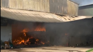 Cháy công ty sản xuất, chế biến gỗ giữa ban ngày