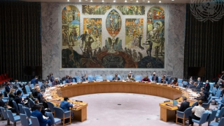 Việt Nam chủ trì cuộc họp Nhóm Công tác của Hội đồng Bảo an về các tòa án quốc tế