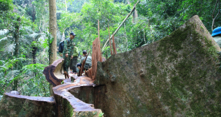 Quảng Trị kiểm tra toàn bộ rừng Khu bảo tồn thiên nhiên Bắc Hướng Hoá