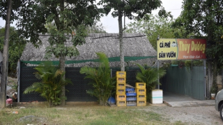 Khởi tố chủ quán cà phê hoạt động mại dâm