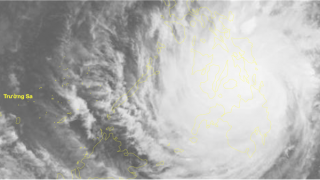 28 tỉnh, thành ven biển kêu gọi tàu, thuyền trú an toàn tránh bão số 9