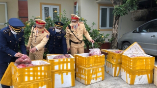 Phát hiện 850kg thịt động vật không có nguồn gốc, bốc mùi hôi thối