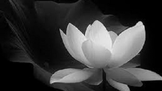 Thượng tá, nhà báo Nghiêm Xuân Luận từ trần